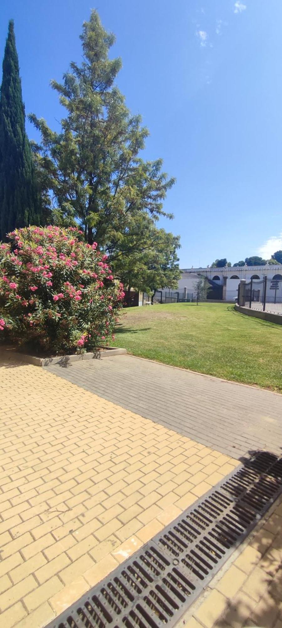 Appartamento Cuatro Caminos Centro Jerez Jerez de la Frontera Esterno foto